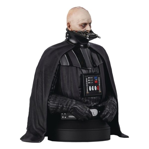 **PRE ORDER** Star Wars Episode VI Bust 1/6 Darth Vader (unhelmeted) 15 cm - Image 2