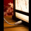 **ETA END JULY** Assassin's Creed Shadows Lantern - Image 6