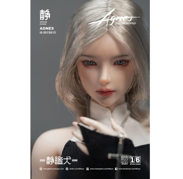 **PRE ORDER - ETA END FEB 2026** Original Character Action Figure 1/6 Serene Hound "Agnes" 30 cm - Image 6